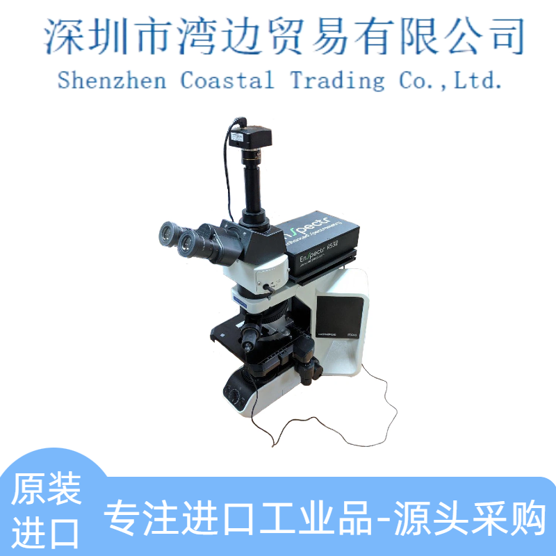 美国RamMics M532拉曼显微镜